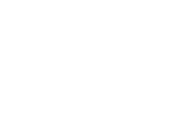 Logo Carrefour